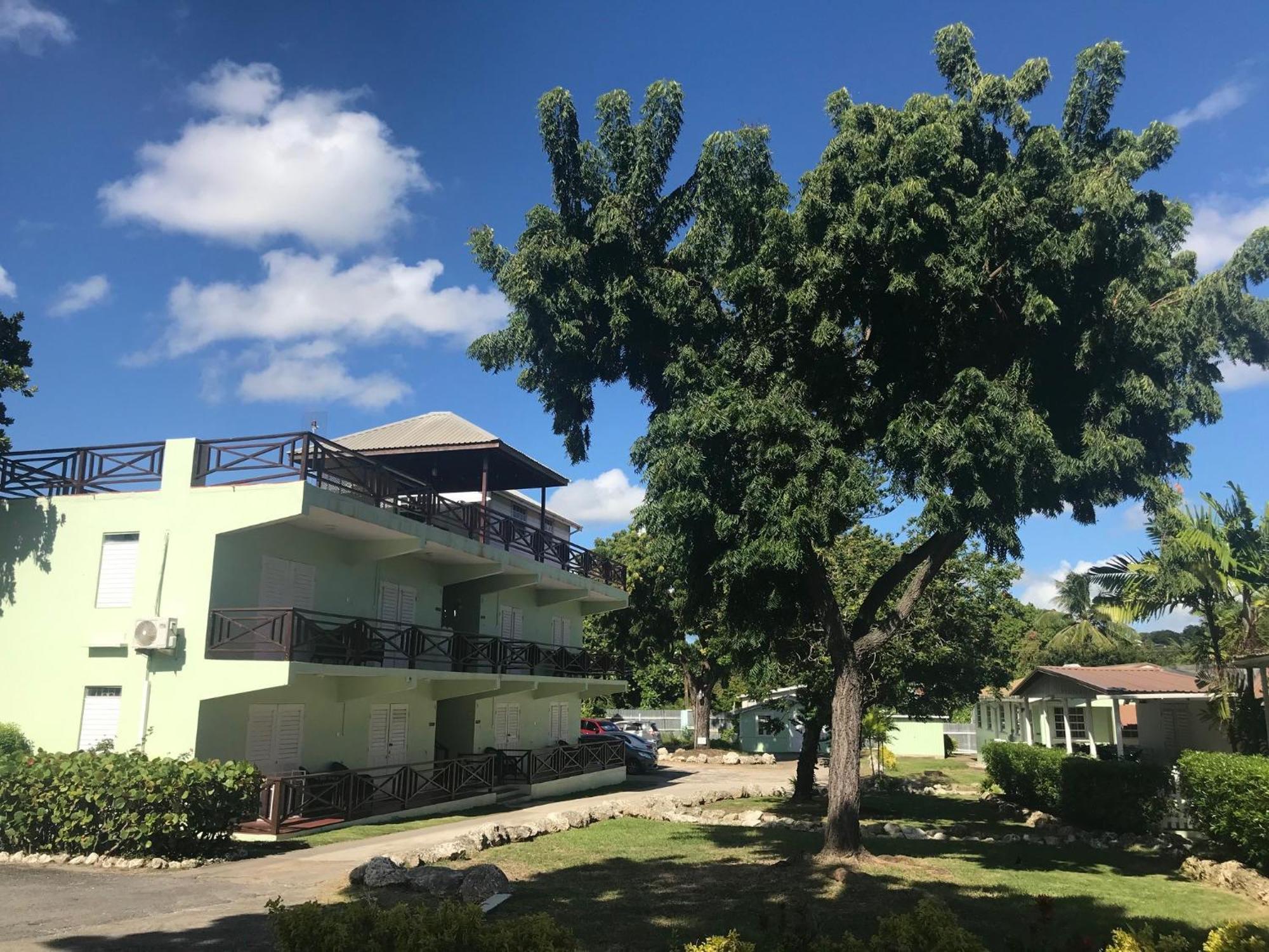 Coconut Court Beach Hotel Christ Church Kamer foto